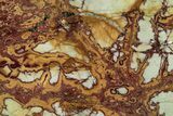 Polished Noreena Jasper Slab - Australia #352659-1